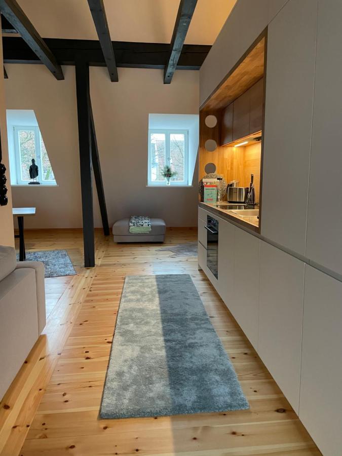 Voh Super Exklusives Loft, Zentral, Smart-Tv, Parkplatz Apartment Vohenstrauss Exterior photo